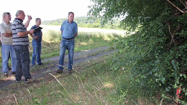 Der rote Pflock (rechts) markiert die Grundstücksgrenze, eine Abrundung wird angestrebt.
