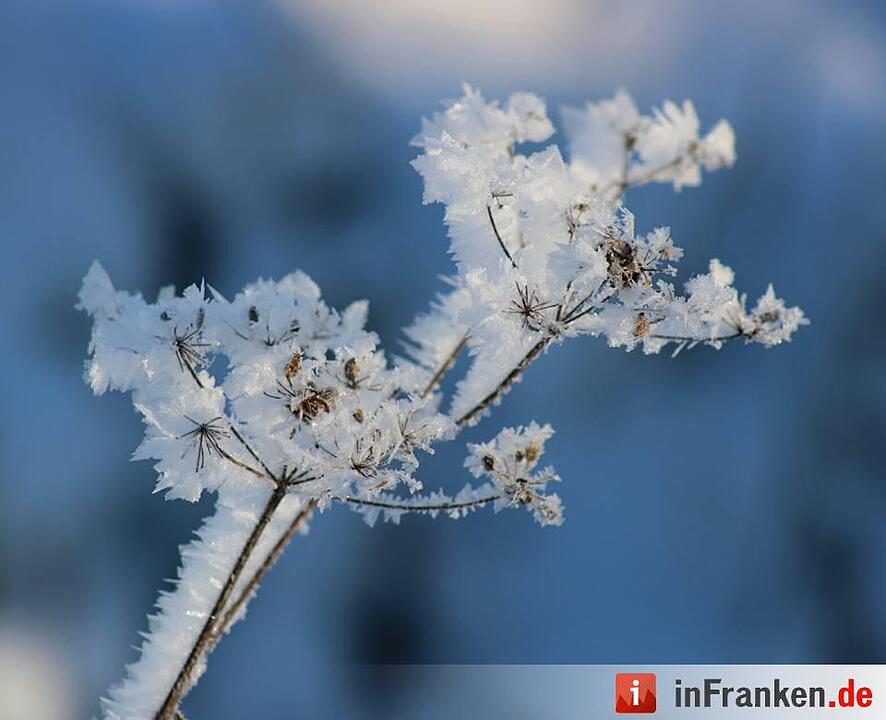 Eis und Schnee in Franken - die schönsten Winterleserfotos