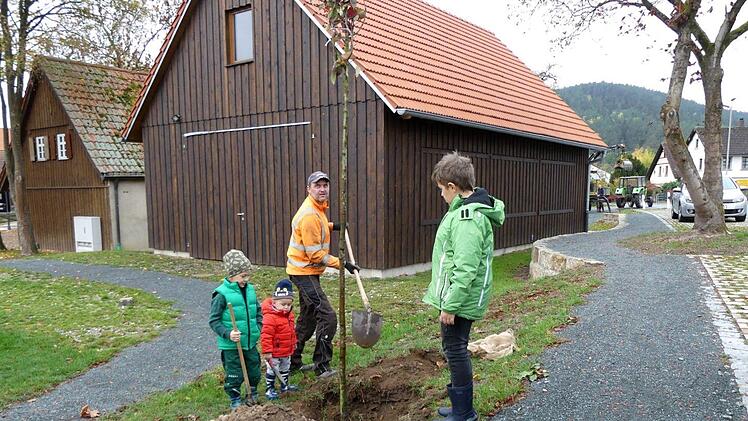 Ludwig, Simon und Johannes helfen ihrem Vater Mario Ott beim  Pflanzen eines Wollapfelbaumes.