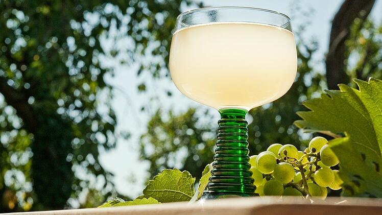 Naturtr&uuml;b und leicht prickelnd, so pr&auml;sentiert sich der Federwei&szlig;er im Herbst.