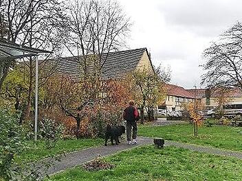Der Novizengarten wird gerne genutzt.