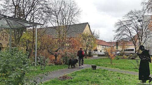 Der Novizengarten wird gerne genutzt.