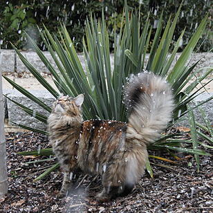 Erster Schnee in Oberfranken