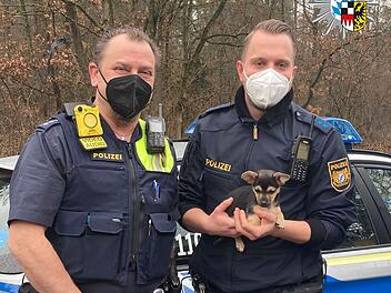 In Nürnberg wurde die Polizei zu einem Streit um einen kleinen Hund gerufen. Da sich nicht feststellen lies, wem das Tier gehörte, nahmen die Beamten den kleinen Vierbeiner mit.