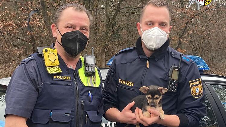 In Nürnberg wurde die Polizei zu einem Streit um einen kleinen Hund gerufen. Da sich nicht feststellen lies, wem das Tier gehörte, nahmen die Beamten den kleinen Vierbeiner mit.