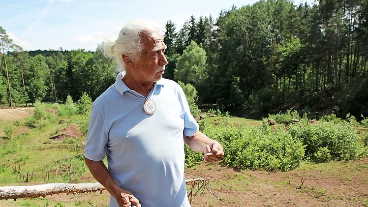 Er war der Matchwinner beim Ringen um den Bestand der Muggenbacher Tongruben: Klaus Mandery vom Institut f&uuml;r Biodiversit&auml;tsinformation in Ebern. Der Hautfl&uuml;gler-Experte entdeckte hier die als ausgestorben geltende Grabwespe Psen exeratus und weitere seltene Arten.