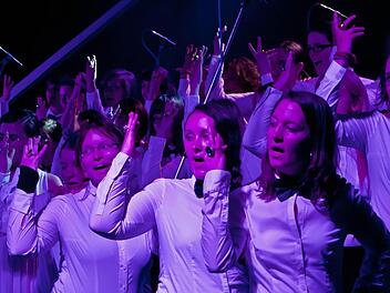 "Diamonds are a Girl's best Friend": die Frauenstimmen des Coburger Hochschulchors "Die Klangfänger". Fotos: Jochen Berger