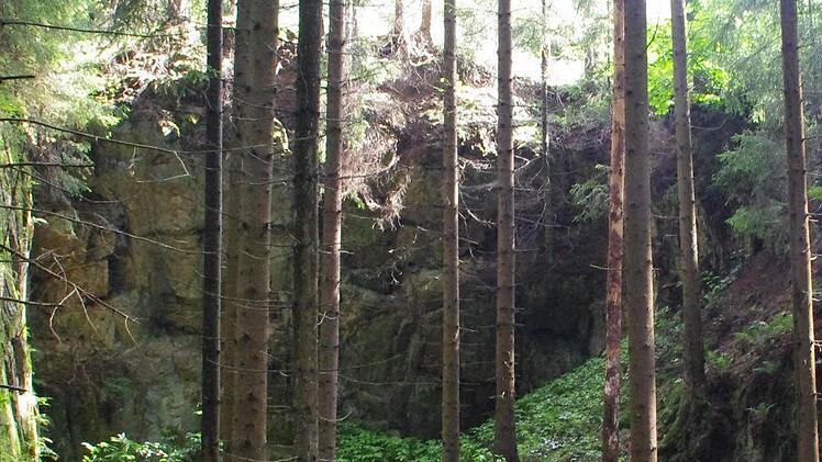 Das Schmiedsgrund-Konglomerat bei Wallenfels. Foto: Marco Meißner