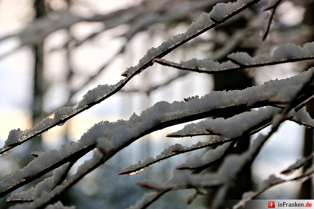 Schnee im Fichtelgebirge