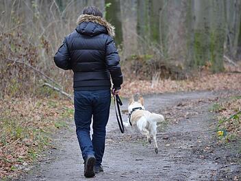 Bad Brückenau: Hundehalter mit Pfefferspray attackiert Symbolbild: Hund an die Leine nehmen?