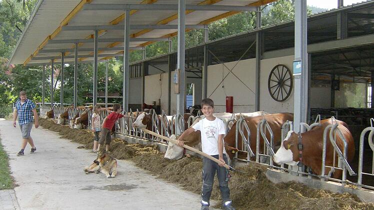Die Hänfling'sche Anlage mit Feriengast Luca aus Hessen (mit Mistgabel) und Sohn Tobias Hänfling. Foto: Petra Malbrich