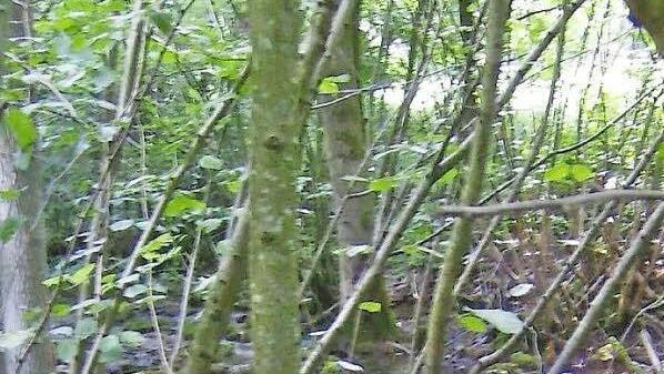 Die Sinterstufen in Dorfhaus sind eines der touristischen Ziele, die besser vermarktet werden sollen. Foto: Petra Malbrich