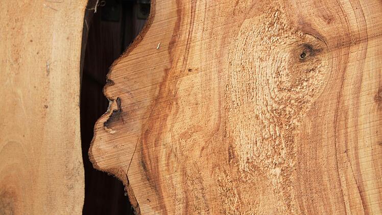 Ein Astloch wird zum Auge Foto: Matthias Einwag