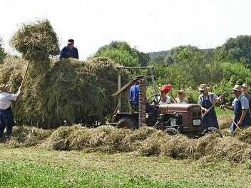 Beim Dorffest 2010 führten die Weppersdorfer vor, wie früher Heu geerntet wurde. Foto: Archiv/Johanna Blum