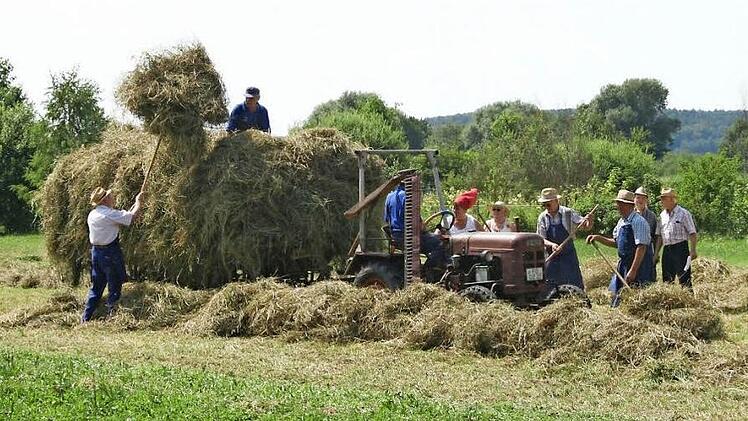 Beim Dorffest 2010 führten die Weppersdorfer vor, wie früher Heu geerntet wurde. Foto: Archiv/Johanna Blum