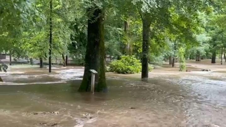 Eine Wasserfläche: der Wildpark Tambach