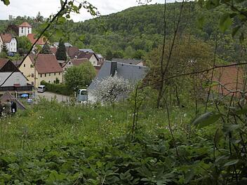 Soll das Areal unberührte Natur bleiben oder für Wohnbebauung frei gegeben werden.? Fest steht: Die Fläche gehört zum Naturpark Fränkische Schweiz/Veldensteiner Forst.  Foto: Josef Hofbauer