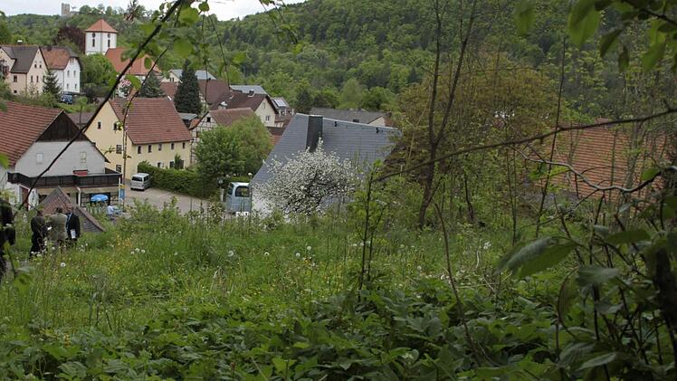Soll das Areal unberührte Natur bleiben oder für Wohnbebauung frei gegeben werden.? Fest steht: Die Fläche gehört zum Naturpark Fränkische Schweiz/Veldensteiner Forst.  Foto: Josef Hofbauer