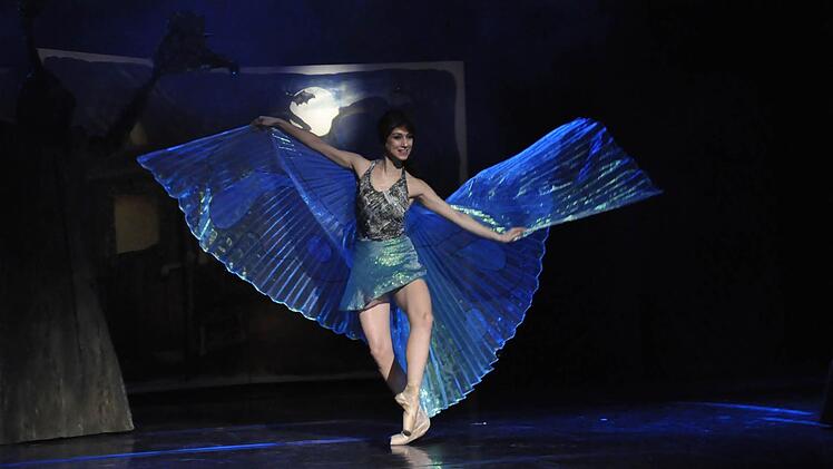 Klassisches Ballett der Spitzenschuhtanz "sur les pointes" des Schmetterlings. Foto: Peter Klopf