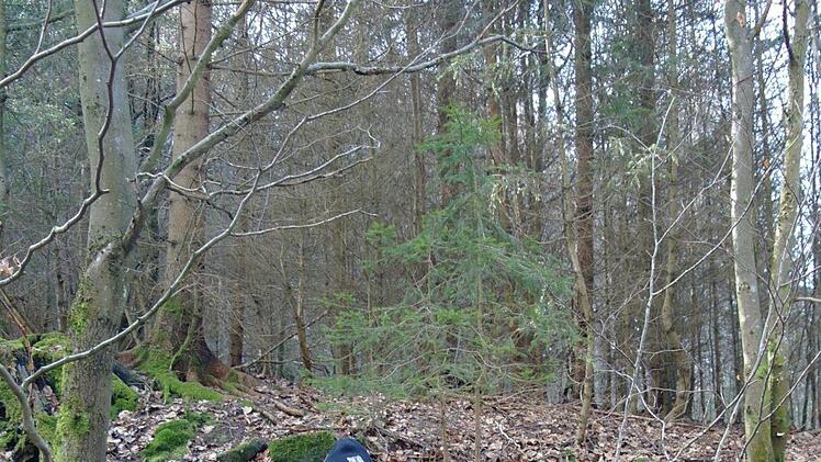 Auf einem Grenzstein entdeckte Karl Hahn auf einer Seite ein "B" für Breitenbach. Auf der anderen Seite fehlt der Hinweis auf Brückenau. Stephanie Elm