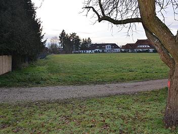 Der alte Apfelbaum trägt eine rote Markierung, er muss weg. Auf der Grünfläche jenseits des Wegs entsteht das kleine Baugebiet.
