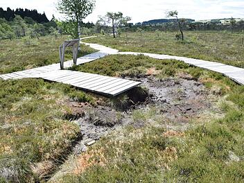 Die Folgen des Klimawandels machen sich l&auml;ngst auch im Biosph&auml;renreservat Rh&ouml;n bemerkbar - wie im Schwarzen Moor, das unter den extremen Hitze- und Trockenperioden der vergangenen Sommer gelitten hat. Foto: Alana Steinbauer