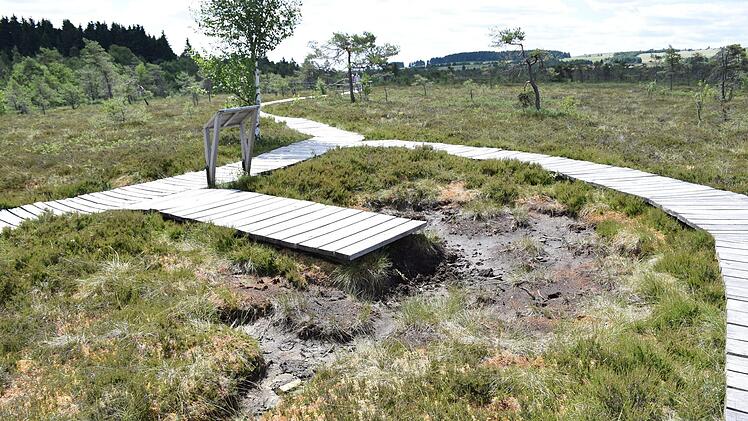 Die Folgen des Klimawandels machen sich längst auch im Biosphärenreservat Rhön bemerkbar - wie im Schwarzen Moor, das unter den extremen Hitze- und Trockenperioden der vergangenen Sommer gelitten hat. Foto: Alana Steinbauer