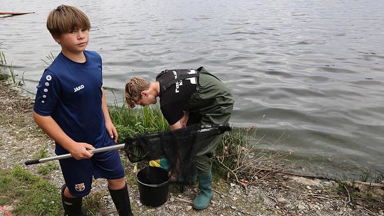 Henry Scherm und Gabriel Rochholz vom Fischereiverein Kulmbach haben die Aufgabe, die toten Fische aufzusammeln. Beide Jugendliche sind geschockt &uuml;ber die Vielzahl.