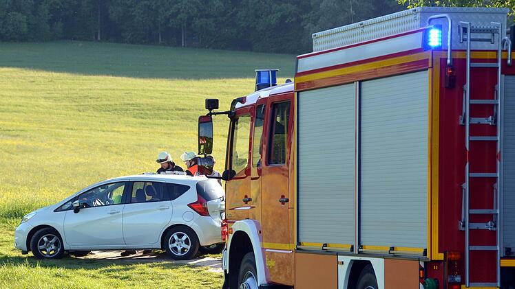 Die Feuerwehrleute hatten schnell den Beifahrersitz ausgebaut und den Hund befreit. Peter Rauch