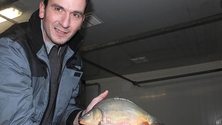 Ein Karpfen kann bis zu zehn Minuten ohne Sauerstoff durch Wasser aushalten, erklärt Alexander Krappmann. In wenigen Momenten ist der Fisch wieder im Wasser seines Hälterungsbeckens. Fotos: Markus Häggberg