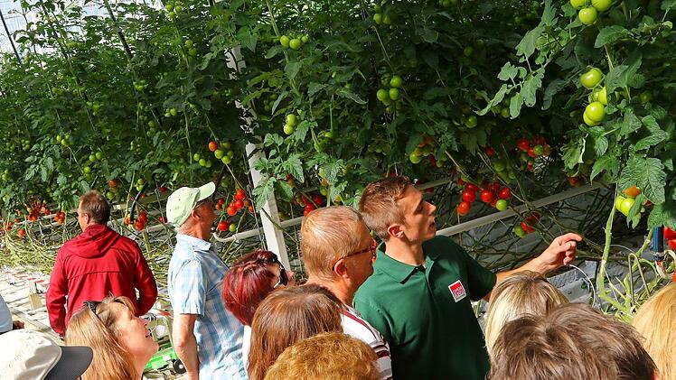 Bei Führungen wurde erläutert, wie der Gemüsebau in der großen Anlage funktioniert. Foto: Monika Limmer
