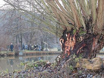 Unter Ausschluss der Öffentlichkeit begutachteten Vertreter des Landratsamtes und weiterer Behörden die Biberschäden an den Teichen des Angelsport-Vereins Hammelburg  bei Obereschenbach. Foto: Ralf Ruppert