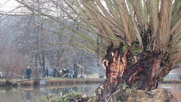 Unter Ausschluss der Öffentlichkeit begutachteten Vertreter des Landratsamtes und weiterer Behörden die Biberschäden an den Teichen des Angelsport-Vereins Hammelburg  bei Obereschenbach. Foto: Ralf Ruppert