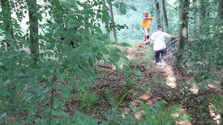 Blick vom Waldweg zum Verletzten  Foto: Friedwald Schedel