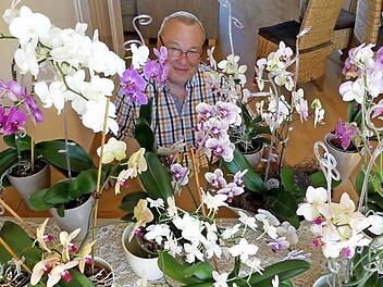 Manfred Gottlieb inmitten seiner Orchideenpracht Fotos: Dieter Hübner