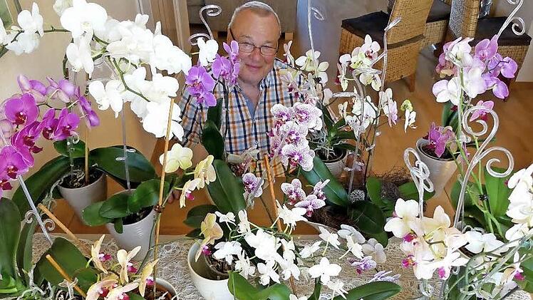Manfred Gottlieb inmitten seiner Orchideenpracht Fotos: Dieter Hübner