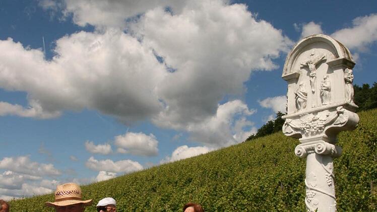 Weinbergwanderung der Saale Zeitung von Wirmsthal nach Wirmsthal 15. Juni 2014