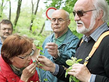 Die Natur ist einen Schnupperkurs wert. Mit Josef Schröder haben FT-Leser einen fachkundigen Naturfreund als Wanderführer. Foto: Markus Häggberg