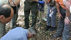 Förster Wolfgang Gnannt prüft bei der Führung mit einer chemischen Lösung, ob der der Waldboden genügend Kalk für Tiefwurzler wie Eiche, Hainbuche oder Ahorn enthält. Foto: Helmut Will