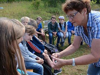 Helga Hein zeigt die raffinierten Mechanismen der Samenverbreitung und wie sie für das Projekt der bayerischen Kulturlandstiftung Samen von selten gewordenen Ackerwildkräutern sammelt. Elisabeth Assmann