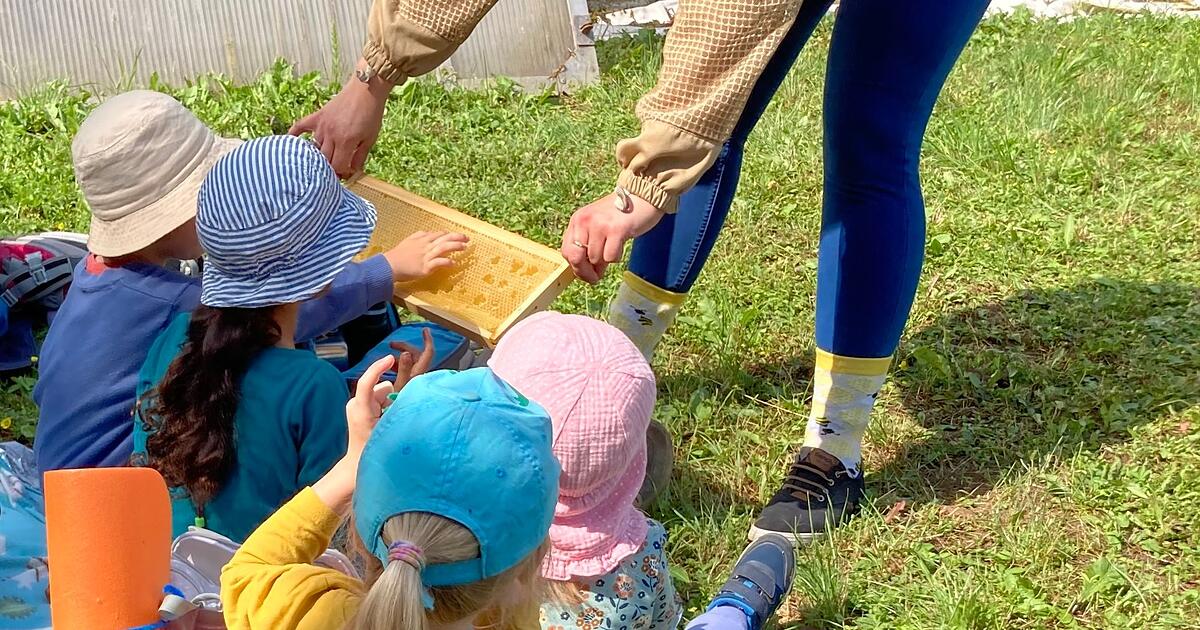 Welche Farbe hat die Bienenkönigin?
