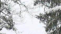 Ein Schlepplift bringt die Brettlrutscher zur Bergstation.  Fotos: privat