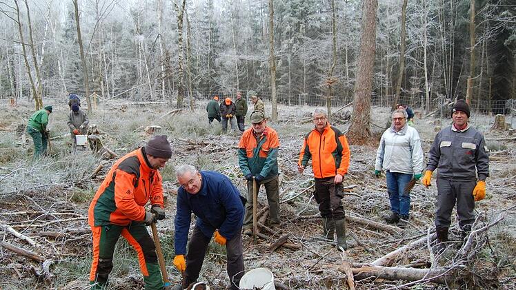 Das Kohlenmeiler-Team pflanzte im Neuwirtshäuser Forst 1500 Eichen. Mit dabei Forstwirt Martin Müller und Theodor Busch (vorne) sowie Revierleiter Gerhard Wagenmann (dahinter, Zweiter von links).  Foto: Wolfgang Dünnebier