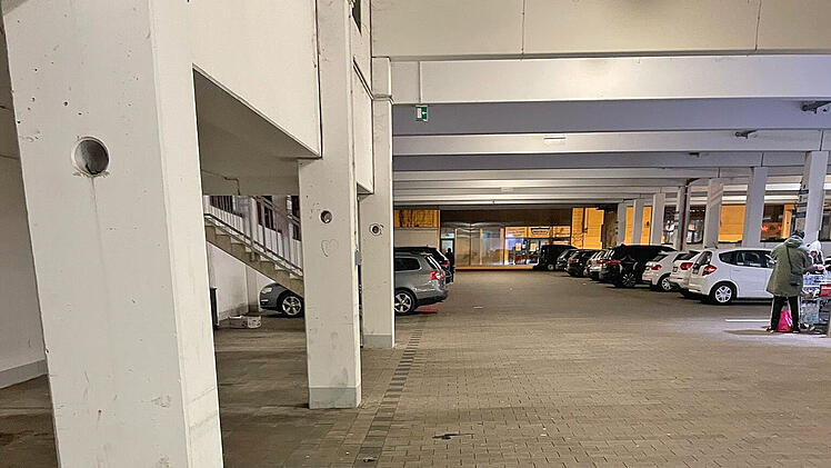 Tierheim Roth entsetzt nach Kater-Fund: "Bleibt nicht nur mir die Spucke weg"
