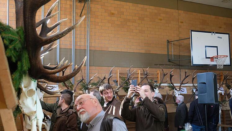 Das Geweih eines ungeraden Sechzehners (links vorne) ist die beste Trophäe.Foto: Gerd Schaar