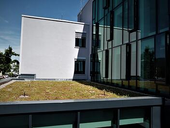 Der  neue, barrierefreie Eingangsbereich des Landratsamtes hat auch ein Pflanzendach erhalten.Reißaus