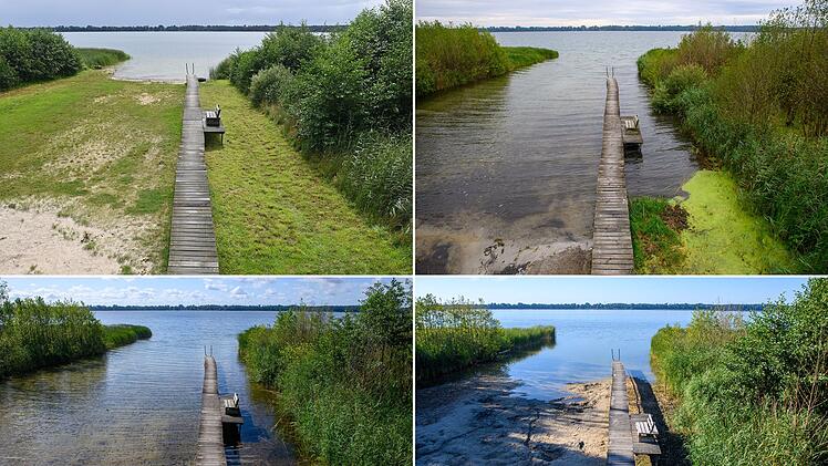 Klimafolgen #klf #klf2026 - Arendsee in der Altmark