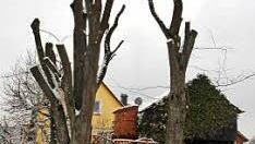 Moderne Kunst in Neuensee?