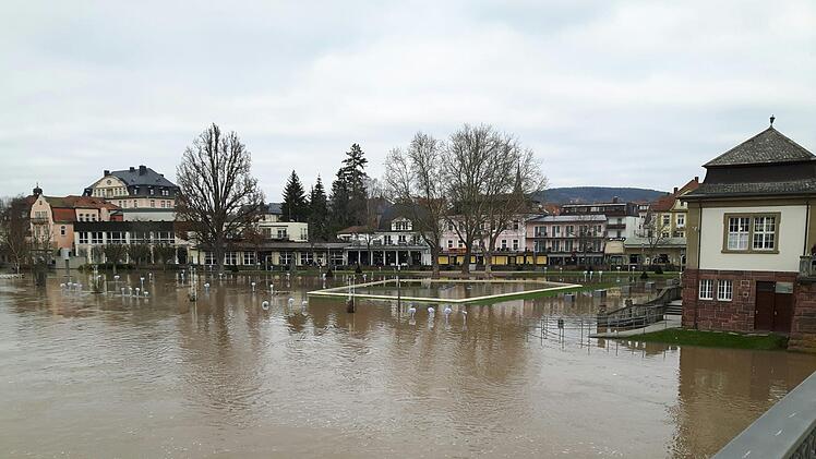 Blick am Sonntag von der Ludwigsbrücke auf den Rosengarten. Foto: Monika Leonhardt