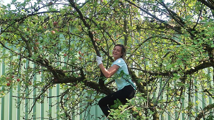 Auch eine große Apfel-Aktion gehörte zu den "guten Taten" der Haba-Mitarbeiter.Haba